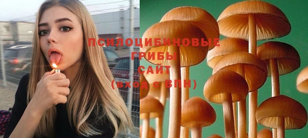 гашик Волоколамск