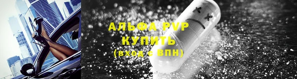 гашик Володарск