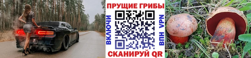 Псилоцибиновые грибы Psilocybine cubensis  Купить где  Куйбышев 